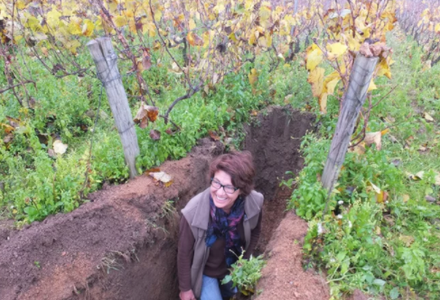 Bourgogne Côtes du Couchois… et pourquoi pas en blanc ?