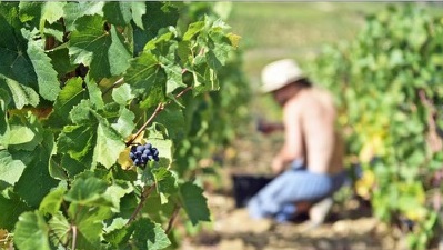 Une cuvée pour célébrer les 20 ans de l’appellation Côtes du Couchois