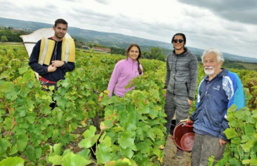 Côtes du Couchois, entre Côte de Beaune et Côte Chalonnaise