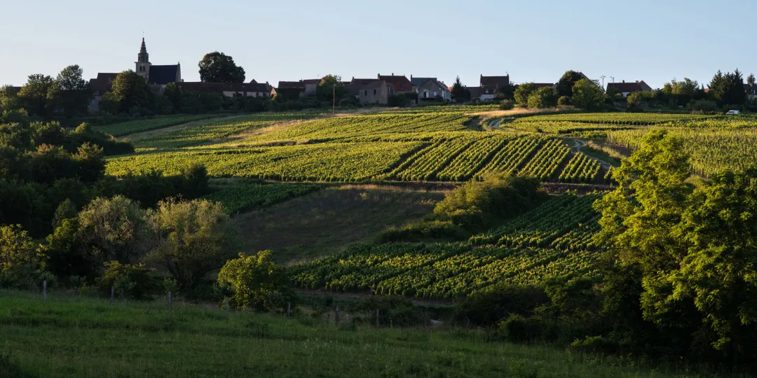 Paysage de Saint Sernin du Plain