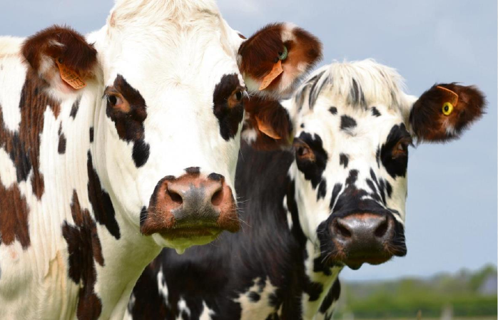 La dépêche – Avril 2026